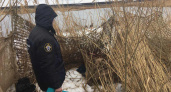 В Коми обнаружили тело охотника